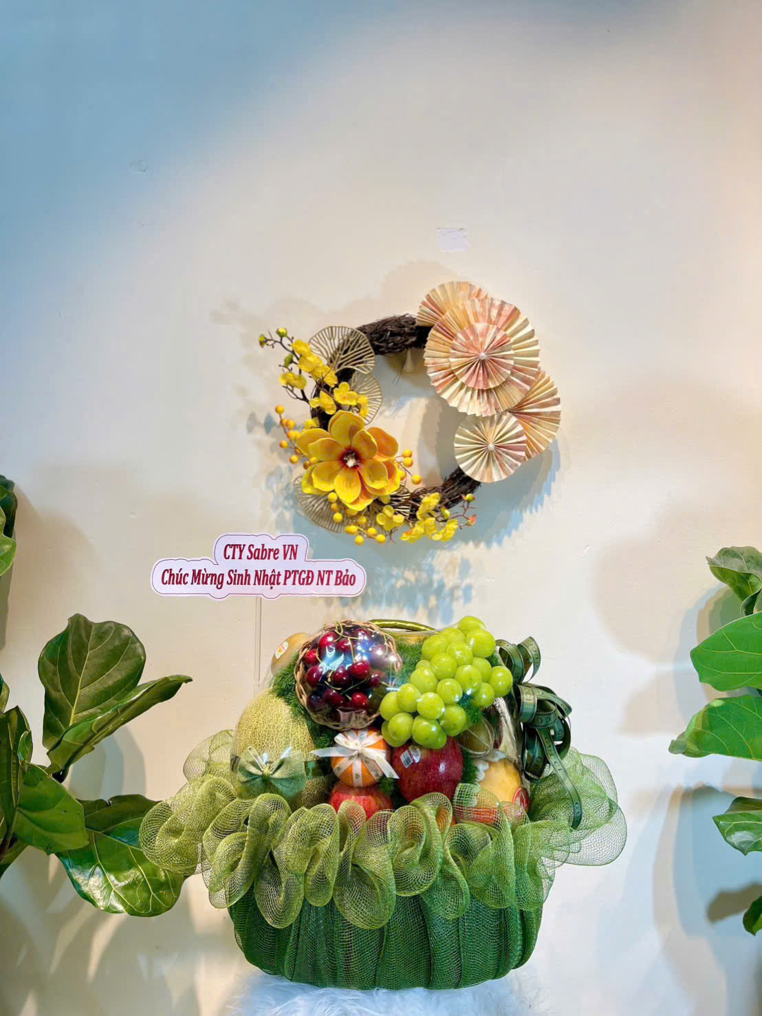 Hộp quà trái cây cao cấp