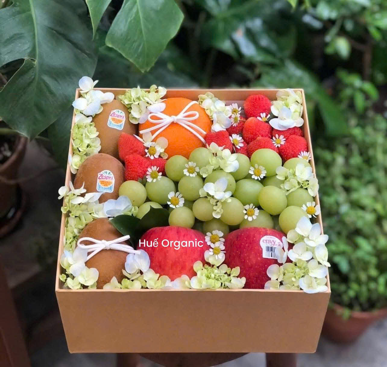 Hộp quà trái cây nhập khẩu
