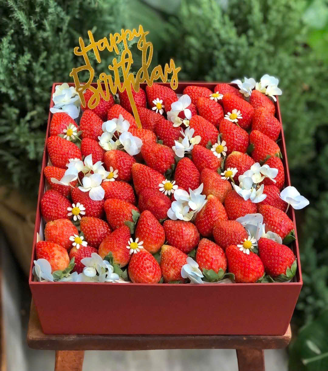 Hộp Quà Tặng Mã H55