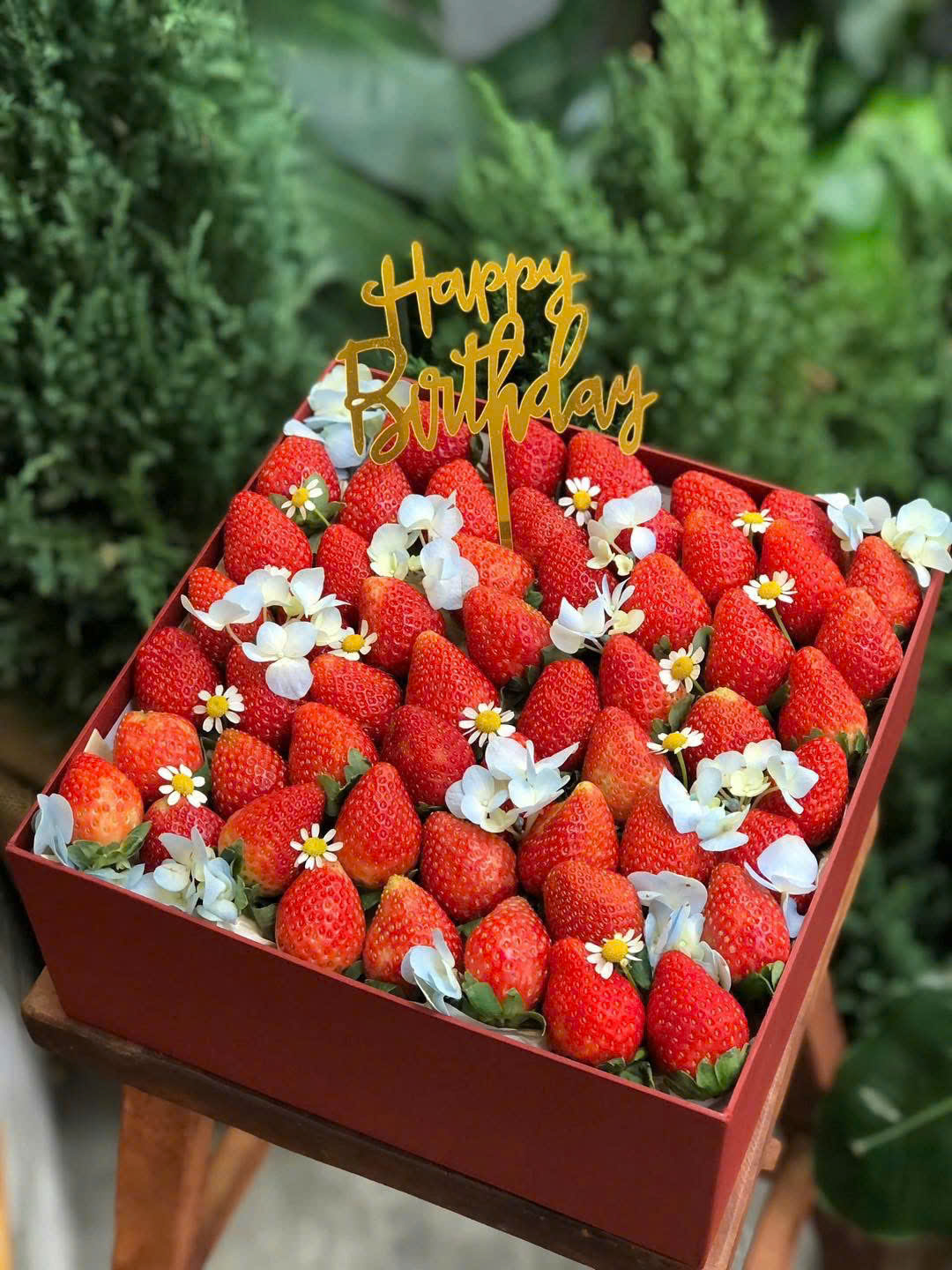 Hộp Quà Tặng Mã H66