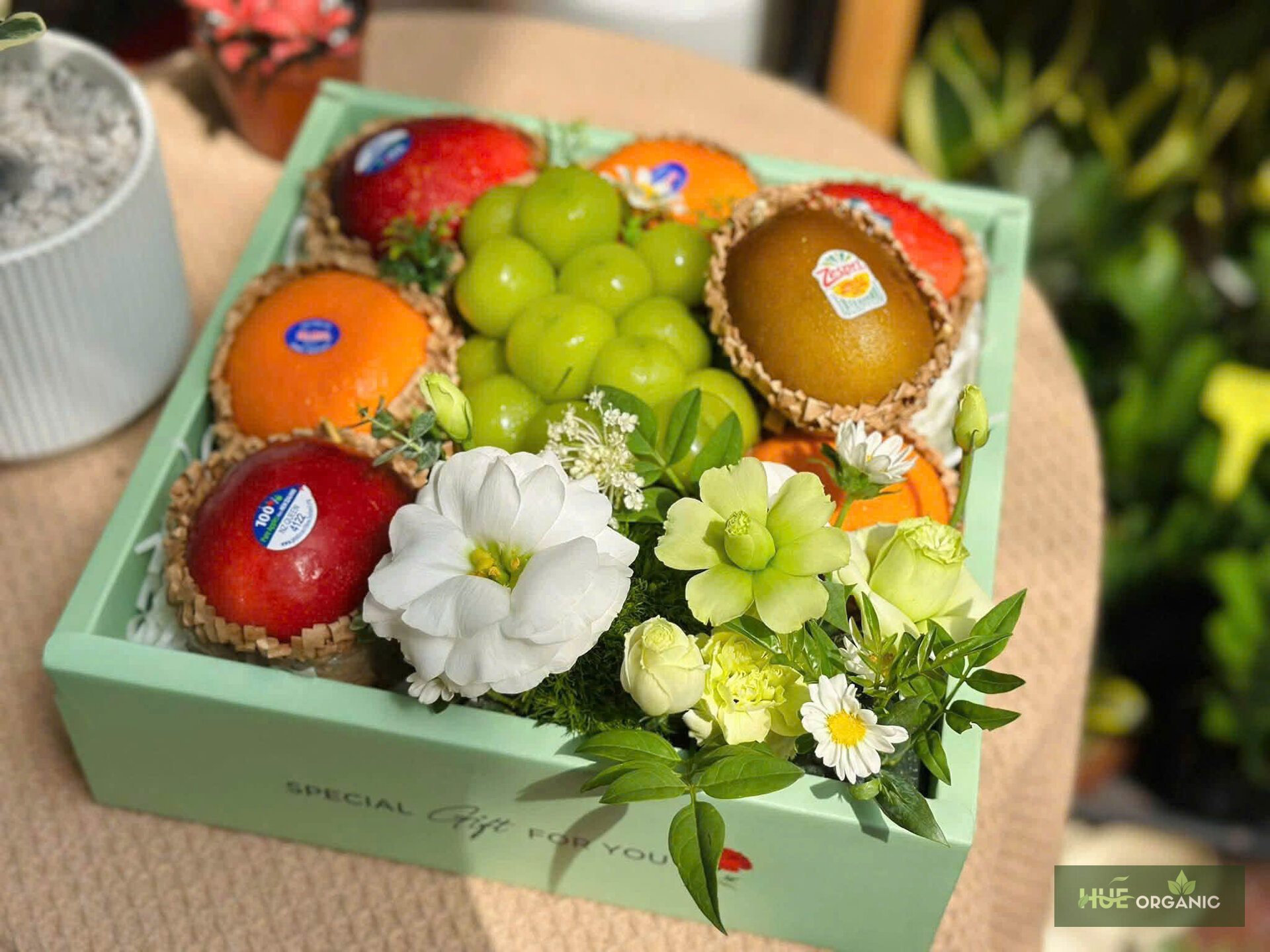 Hộp Quà Tặng Mã H97