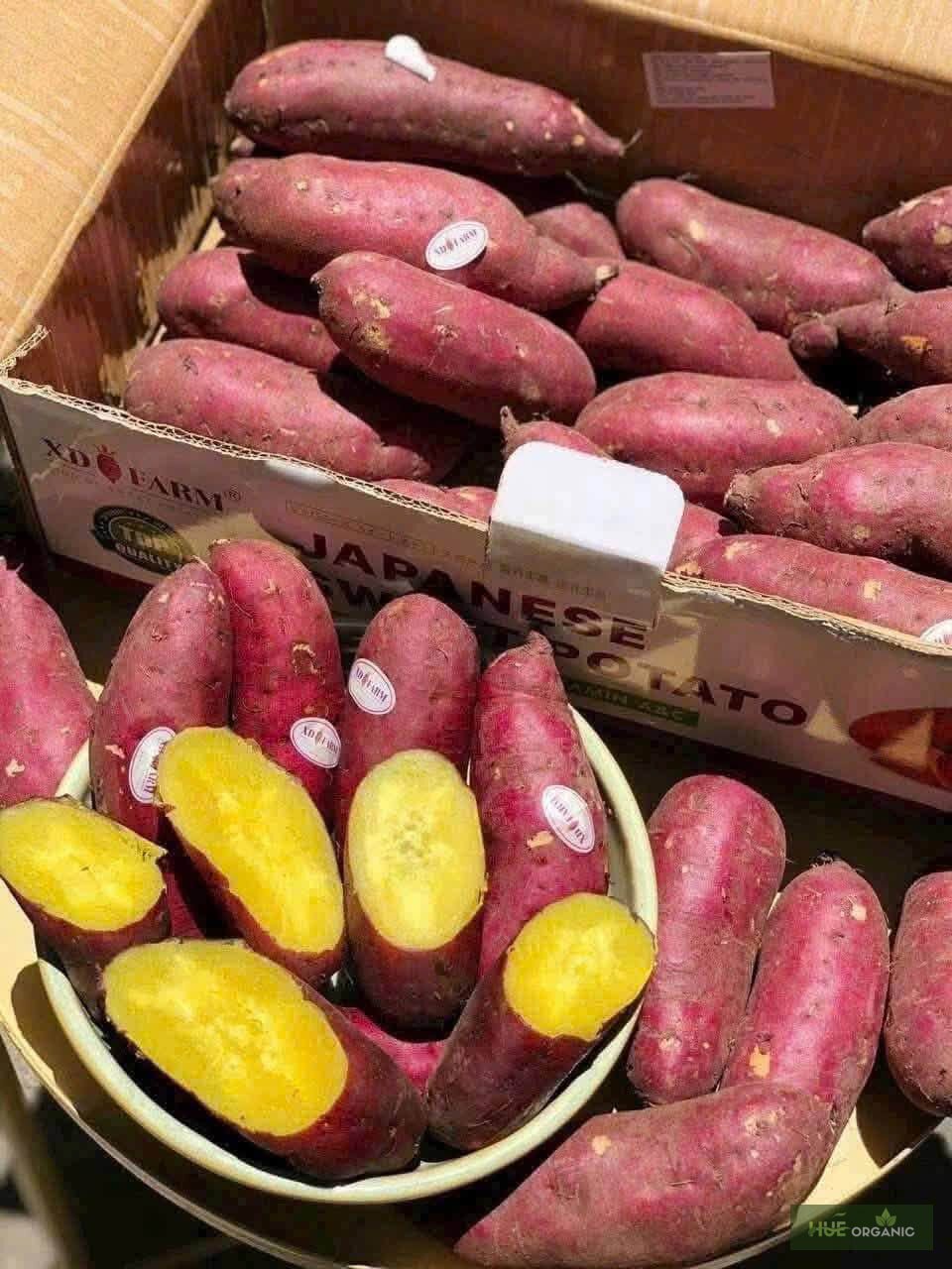 Khoai Lang Nhật Ruột Vàng, Bở Bùi