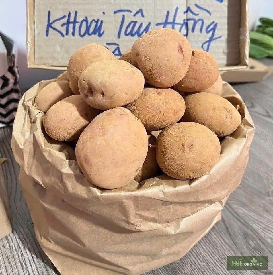 Khoai Tây Hồng Đà Lạt