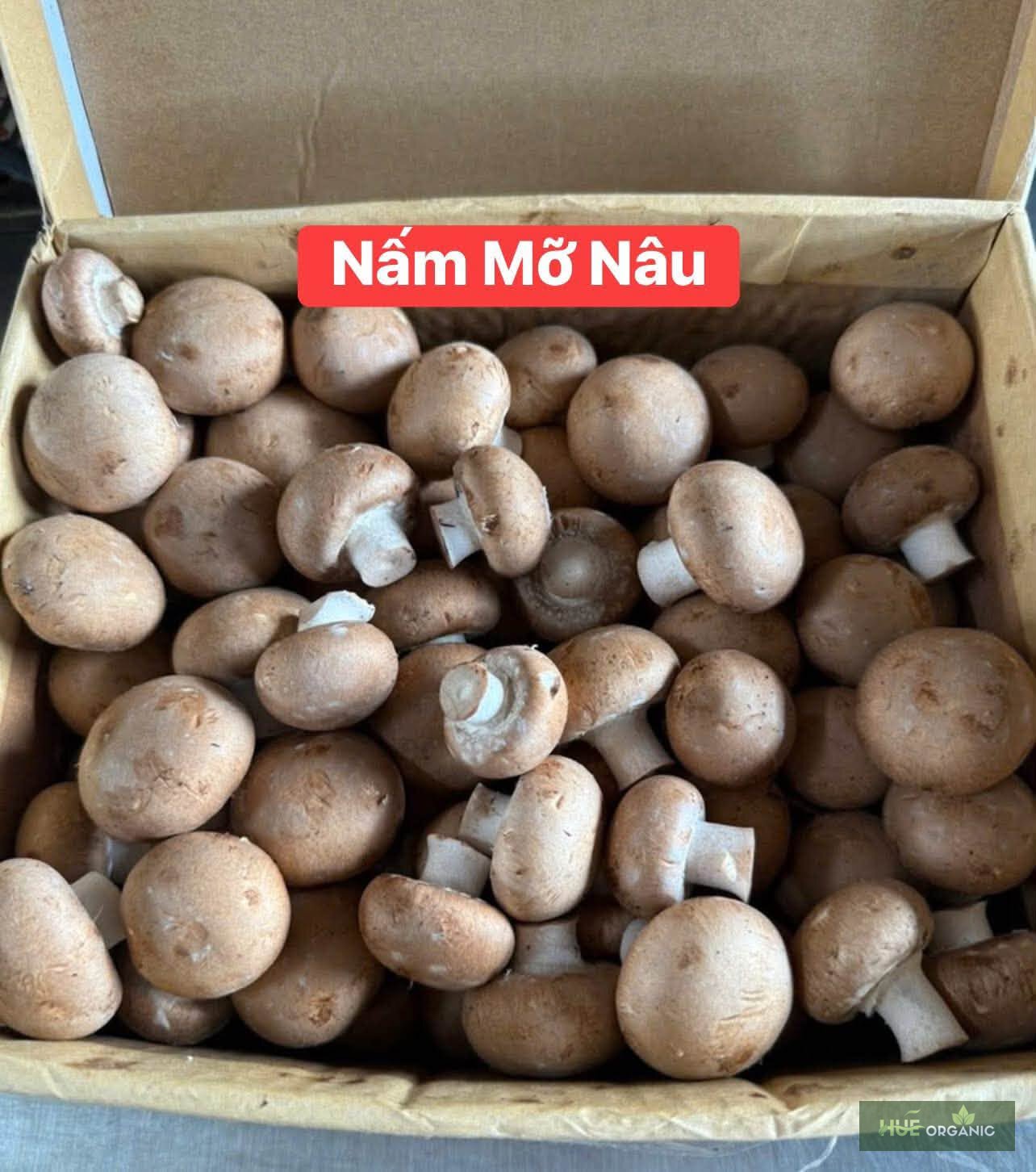Nấm Mỡ Nâu Đà Lạt (Nấm Cremini) Tươi