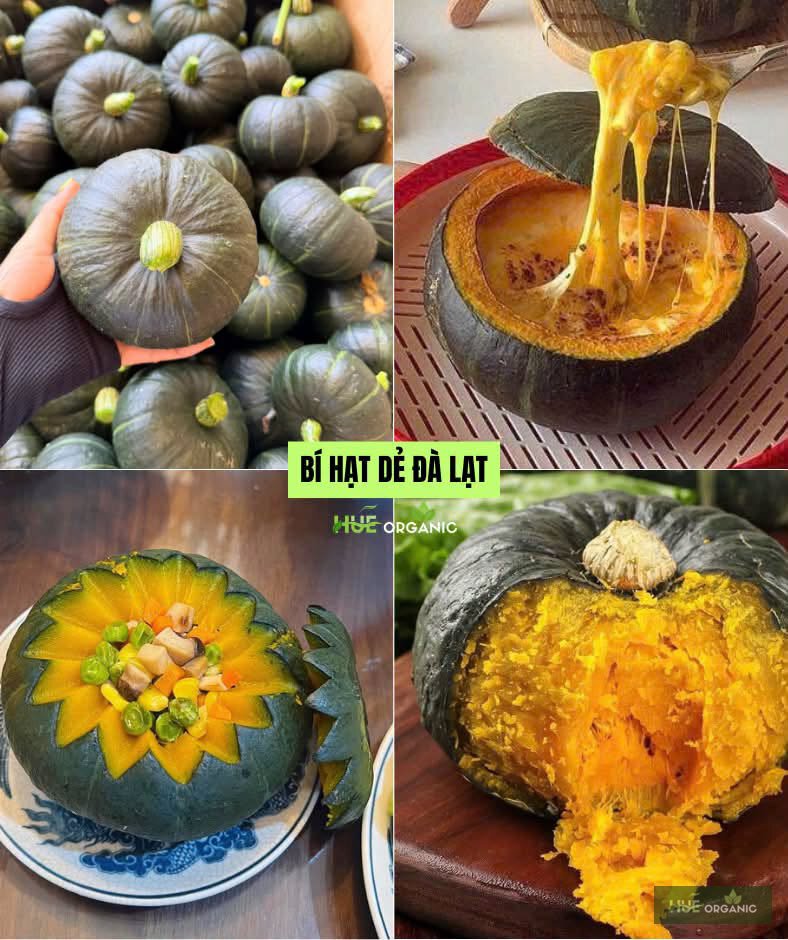 Bí Hạt Dẻ Đà Lạt (Bí Nhật) Ruột Vàng Bở - ảnh 2