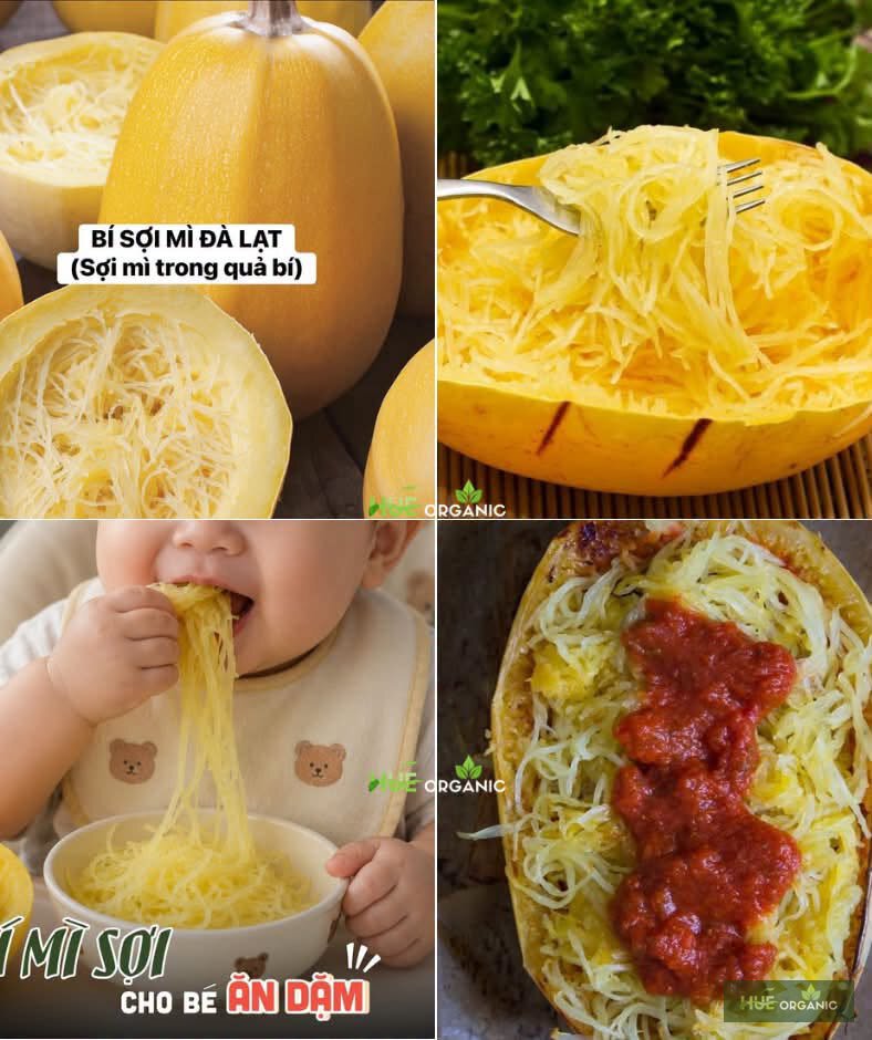 Bí Sợi Mì Đà Lạt (Spaghetti Squash)