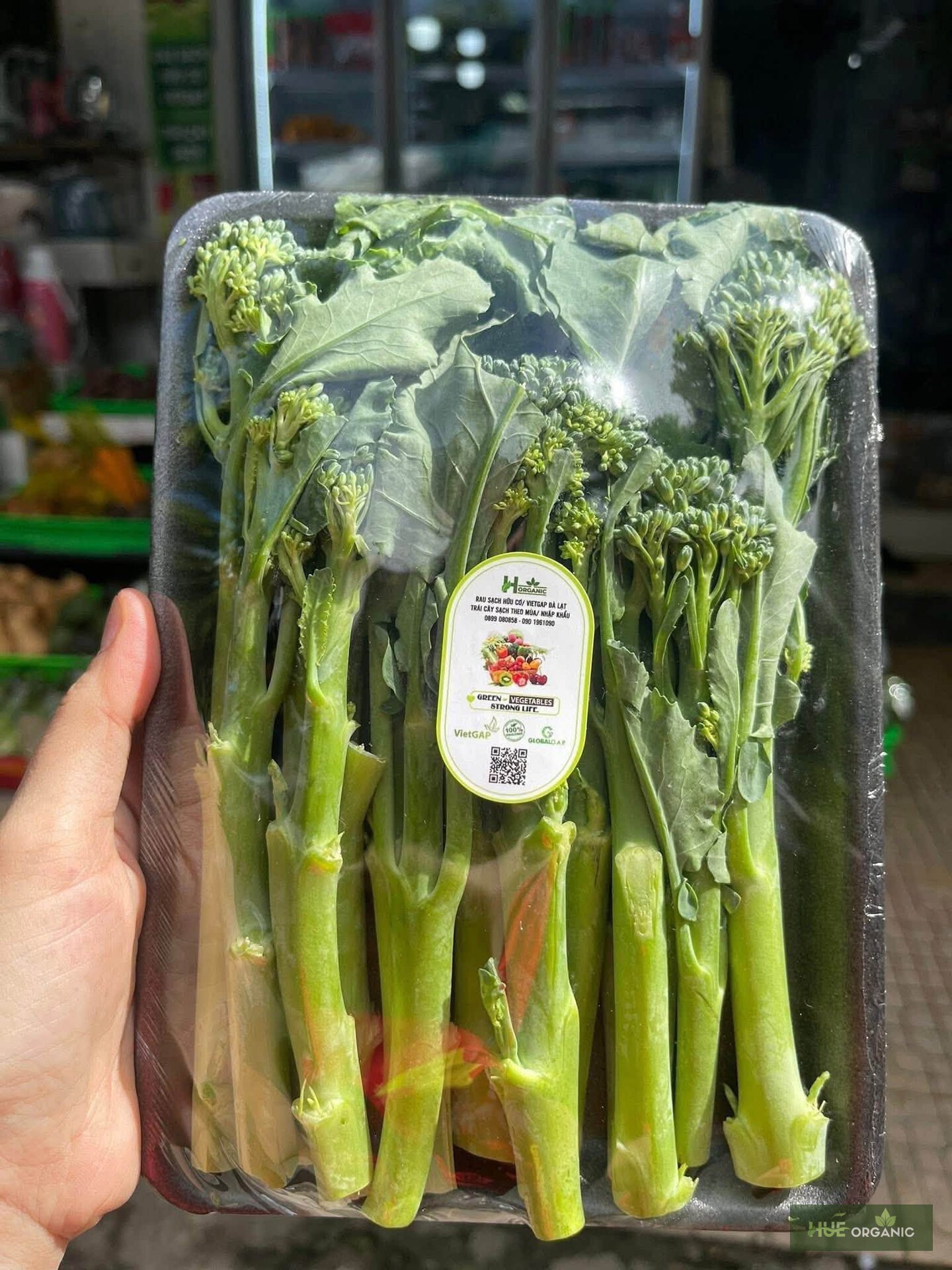 Bông Cải Baby Đà Lạt (Broccolini)