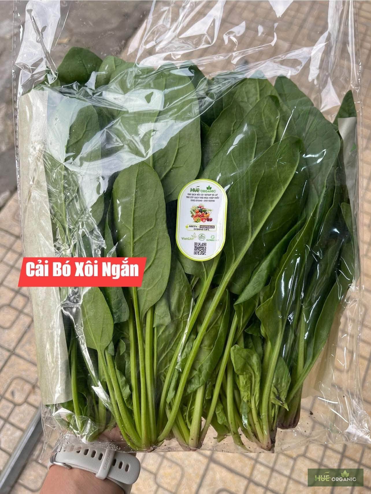 Cải Bó Xôi Đà Lạt (Rau Chân Vịt) Tươi Non - ảnh 2