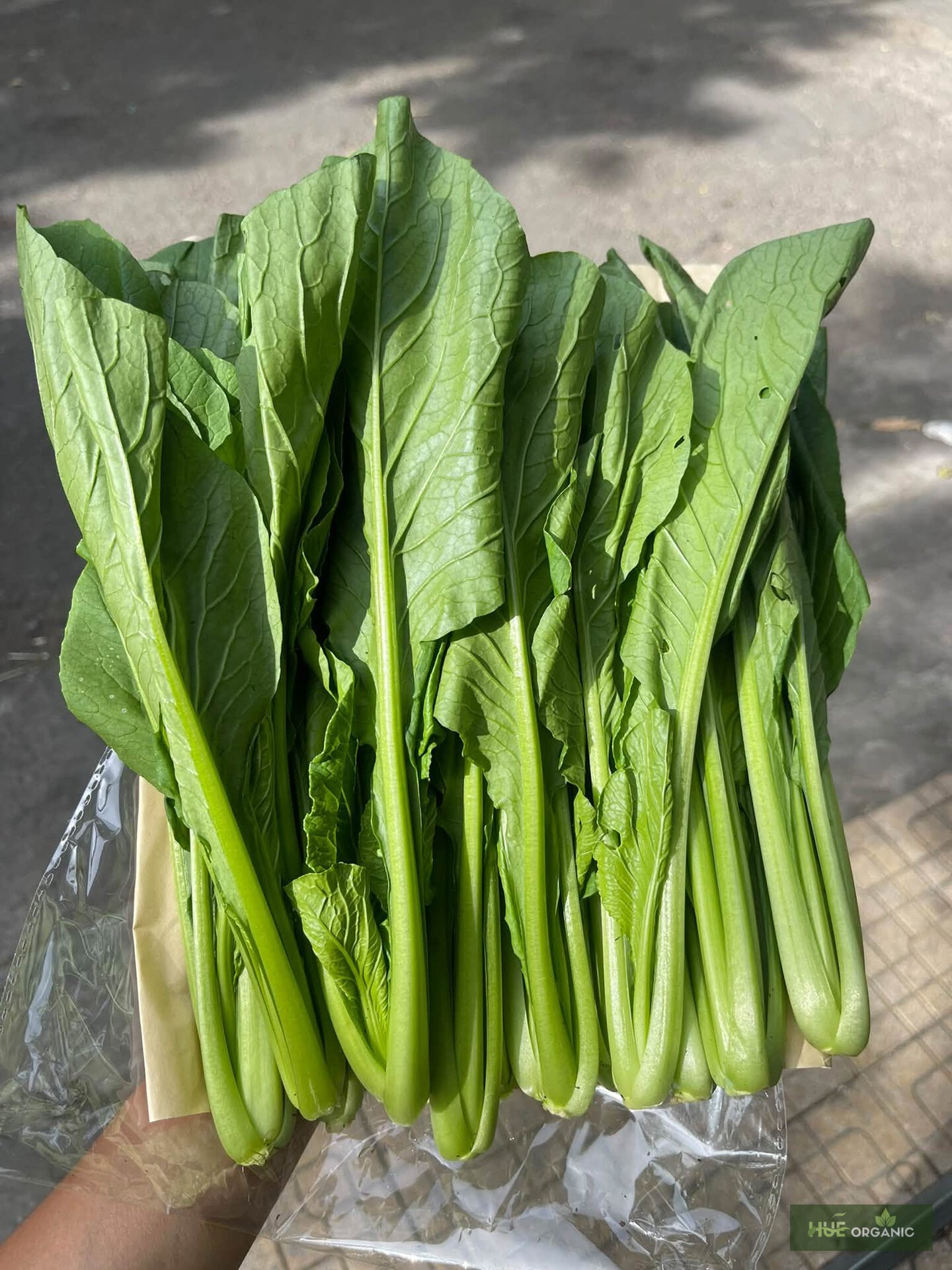 Cải Ngọt Đà Lạt Tươi Xanh