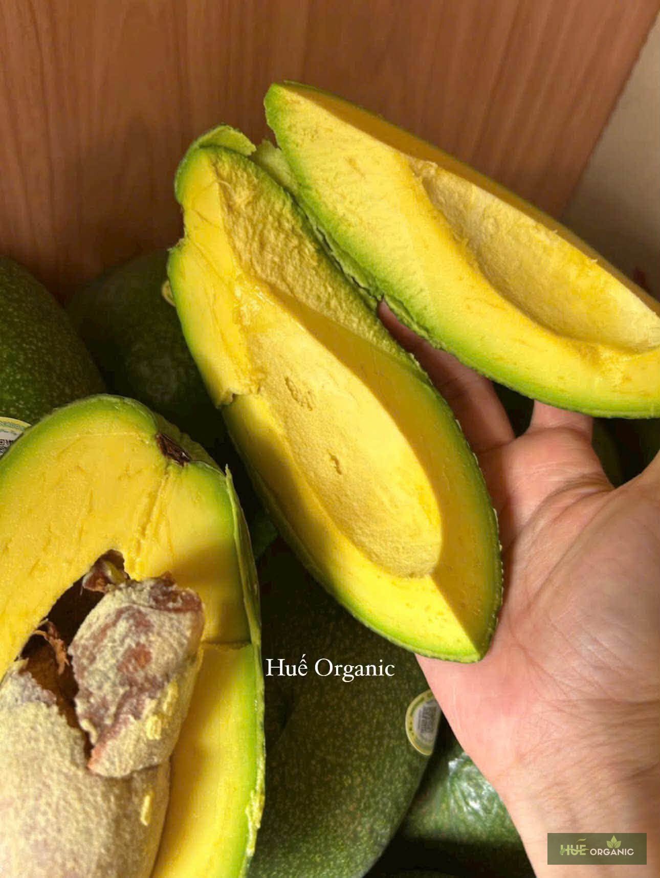 Bơ Sáp Giống Cổ Cơm Vàng Dẻo Béo