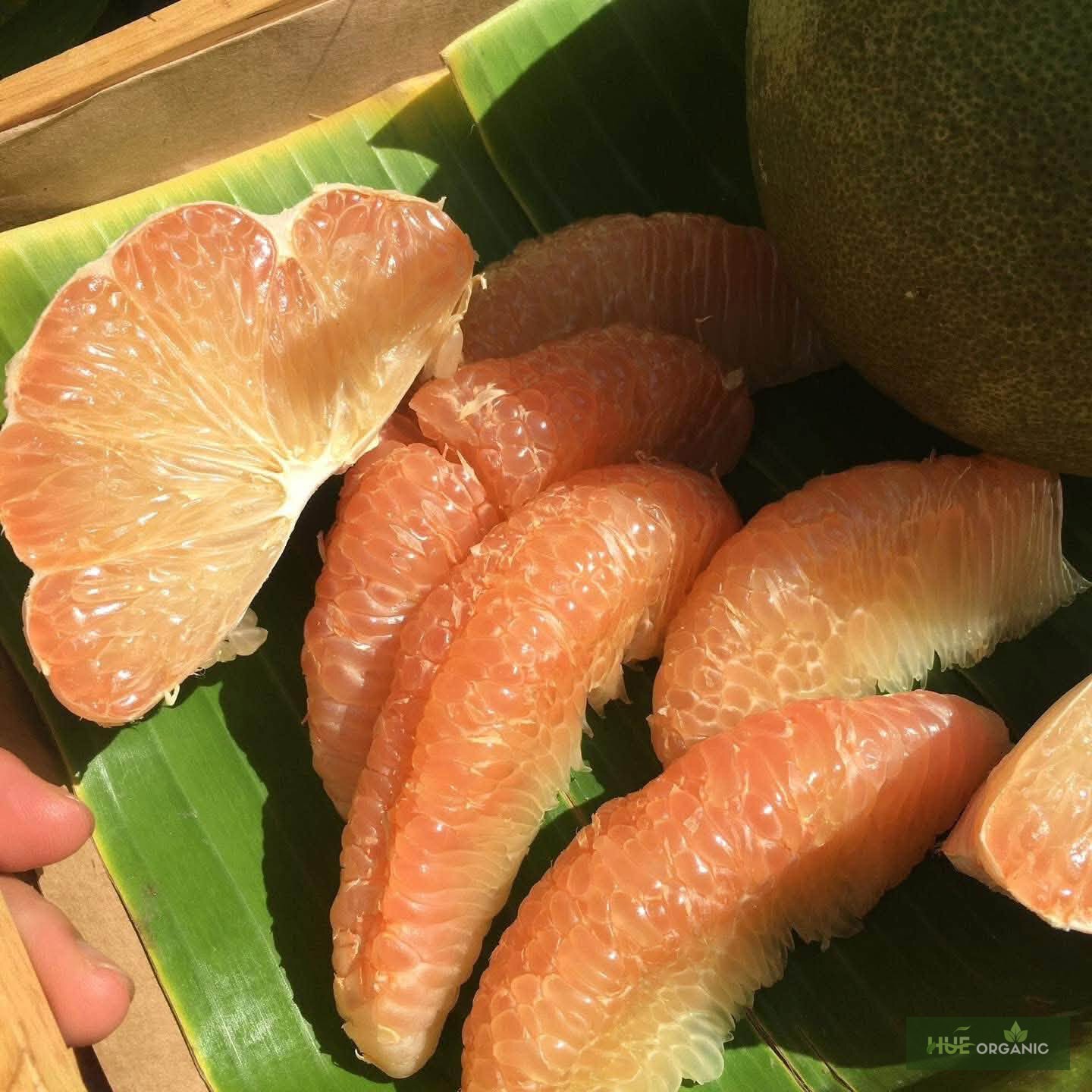 BƯỞI DA XANH 5 HẠNG HỮU CƠ - ảnh 6