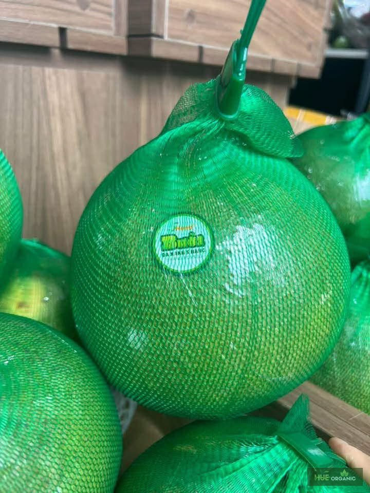 BƯỞI DA XANH 5 HẠNG HỮU CƠ - ảnh 7