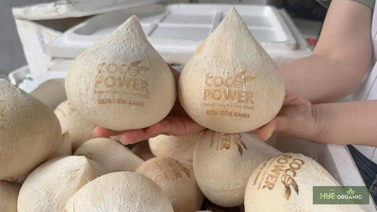 Dừa Xiêm Xanh Gọt Sẵn Coco Power Nước Ngọt Mát - ảnh 2