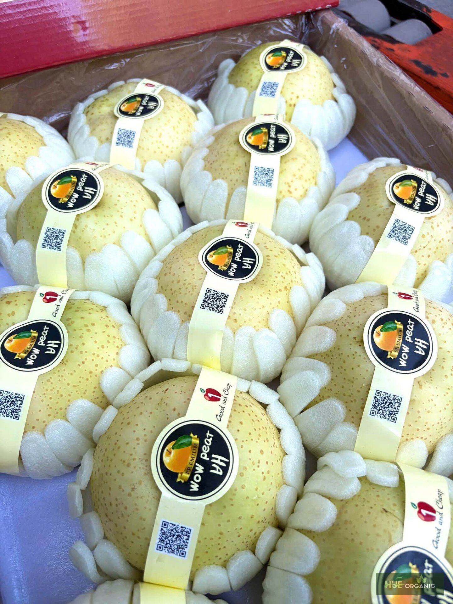 Lê Wow Pear Nhập Khẩu Vỏ Vàng Giòn Mát