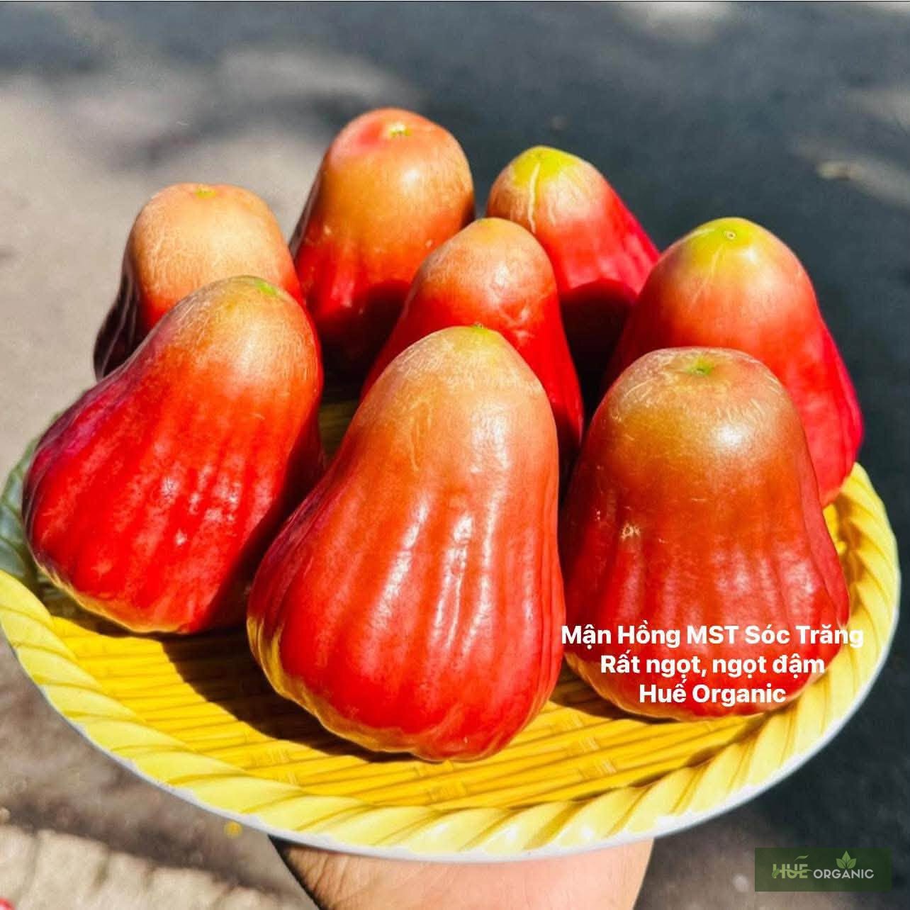 Mận Hồng MST Sóc Trăng Giòn Ngọt Đậm