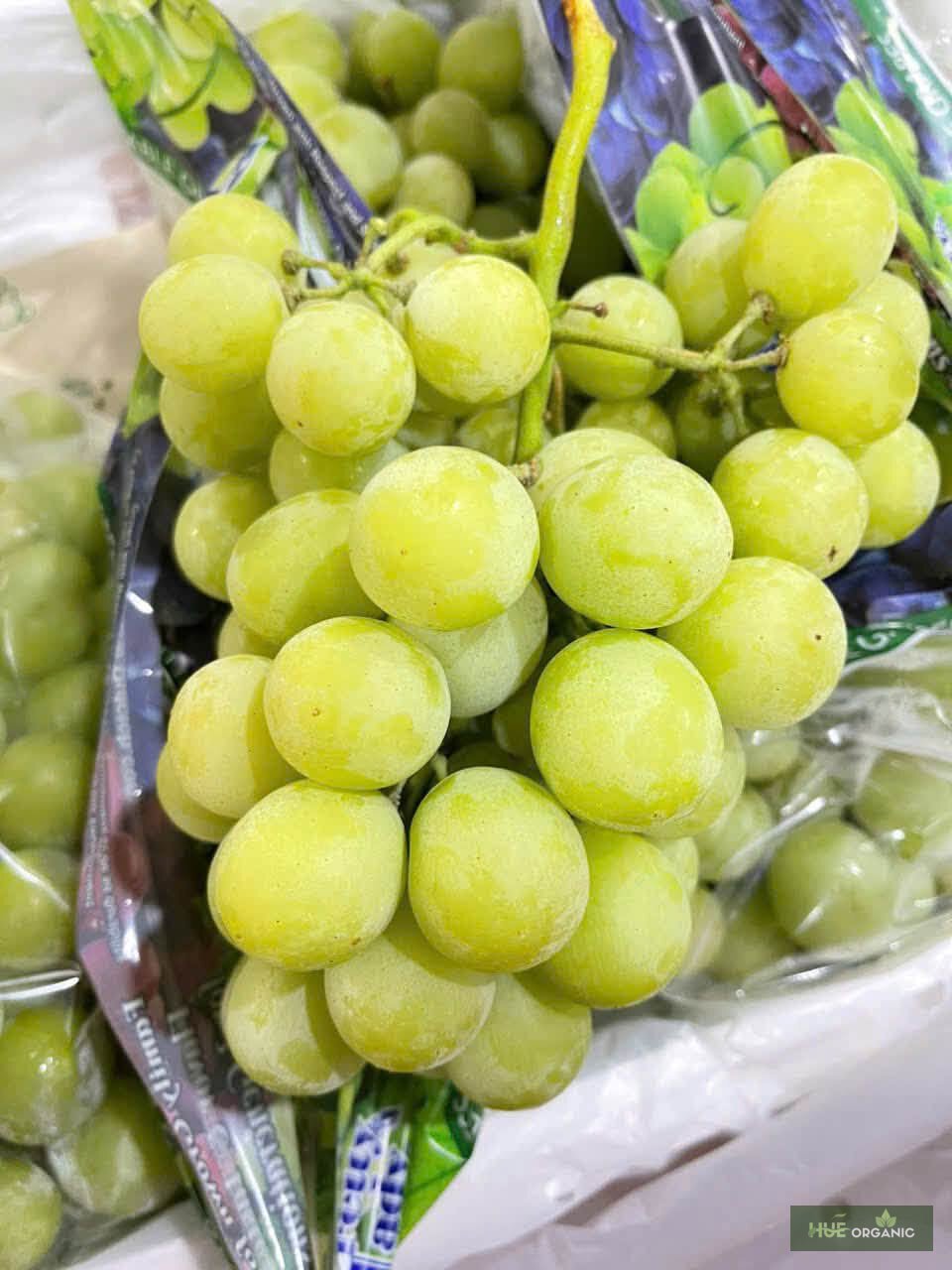 Nho Xanh Mỹ Autumn Crisp Không Hạt Giòn Ngọt - ảnh 2