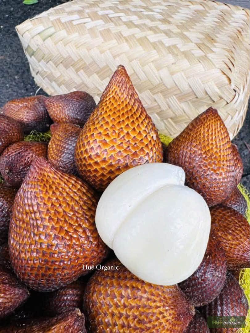 Quả Mây Thái (Salak) Vỏ Vảy Rắn Ngọt Giòn