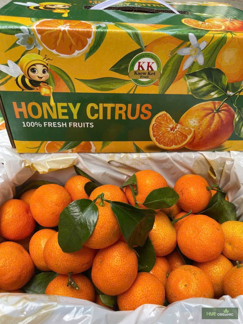 Quýt Mật Ong Honey Citrus Nhập Khẩu Còn Lá
