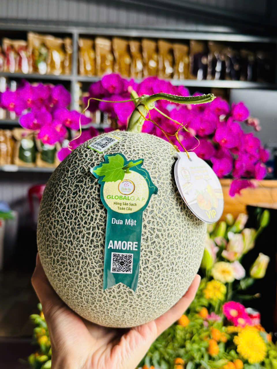 DƯA LƯỚI MẬT AMORE VIP - ảnh 3