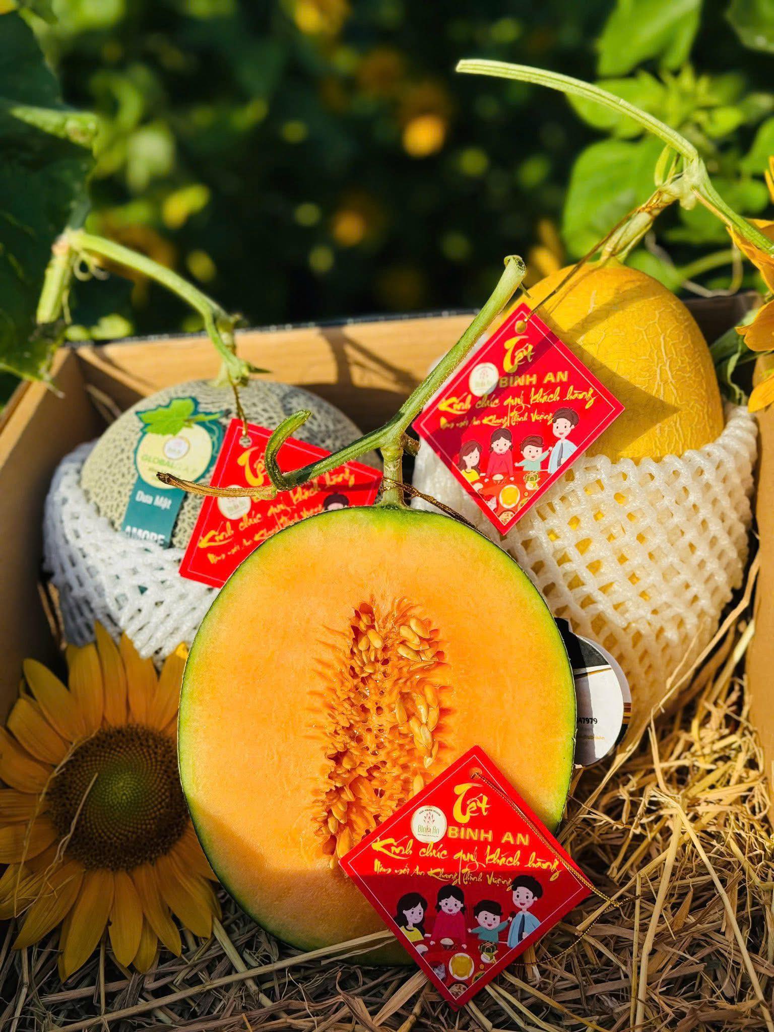 DƯA LƯỚI MẬT AMORE VIP - ảnh 4