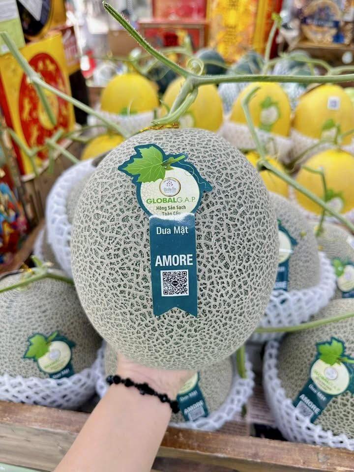 DƯA LƯỚI MẬT AMORE VIP - ảnh 5