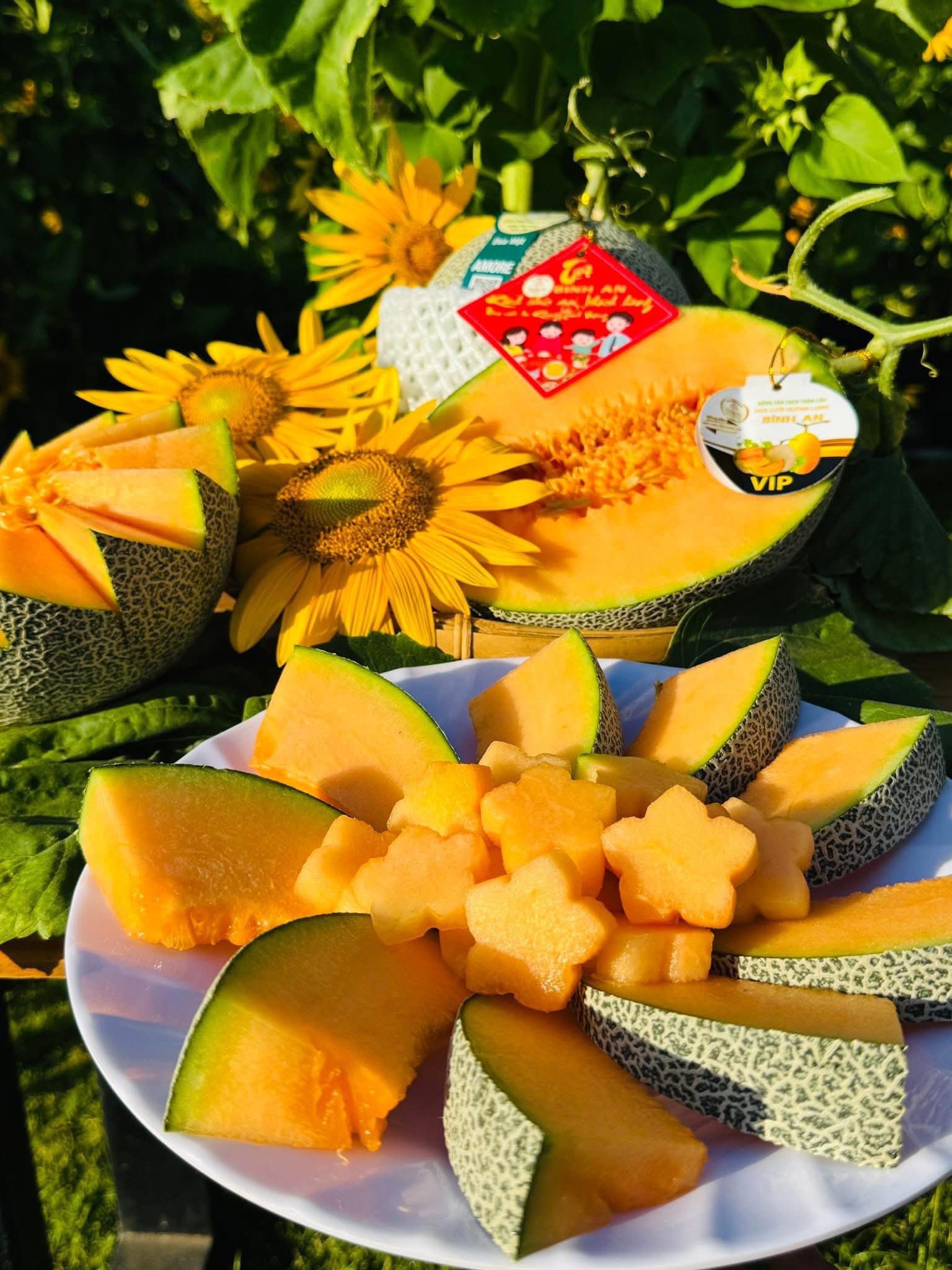 DƯA LƯỚI MẬT AMORE VIP - ảnh 6