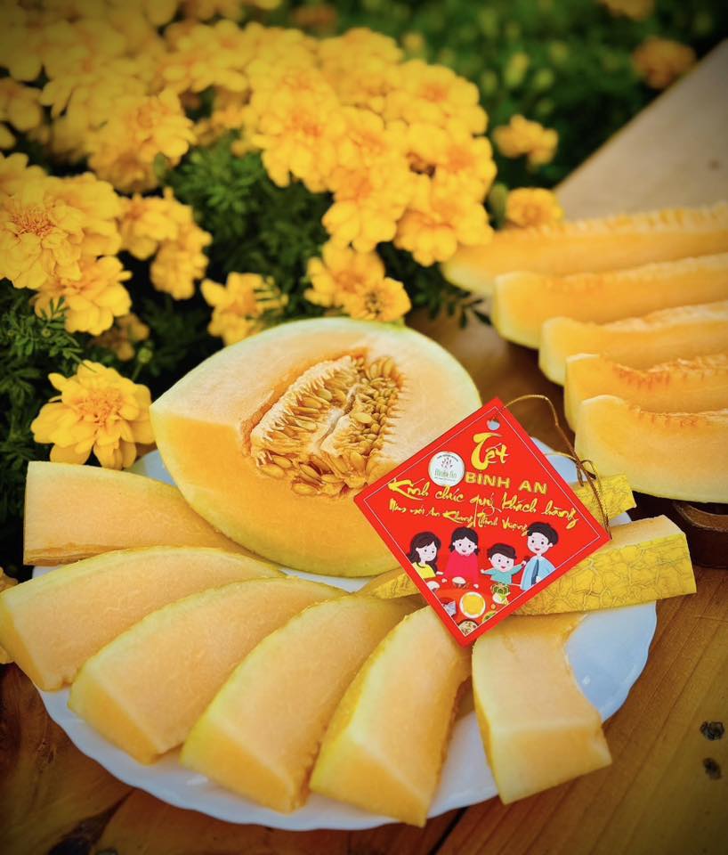 DƯA LƯỚI HUỲNH LONG VIP - ảnh 4