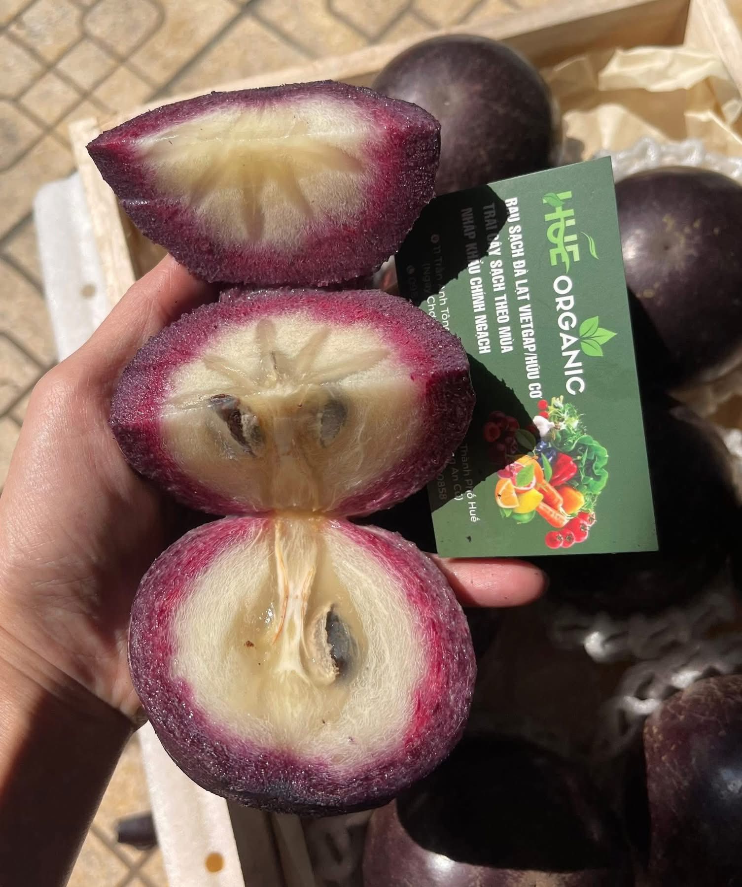 VÚ SỮA TÍM XƯA VIP - ảnh 5