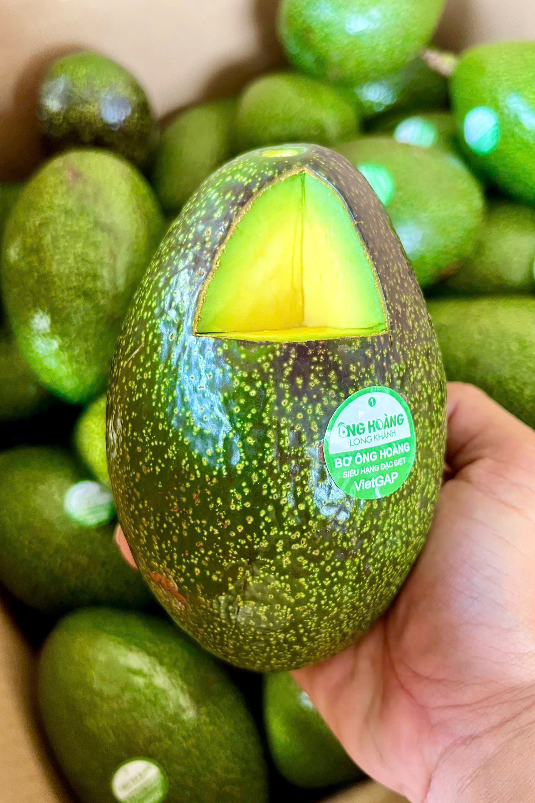 BƠ ÔNG HOÀNG - BƠ SÁP CỔ KIM CƯƠNG - ảnh 2