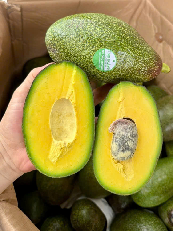 BƠ ÔNG HOÀNG - BƠ SÁP CỔ KIM CƯƠNG