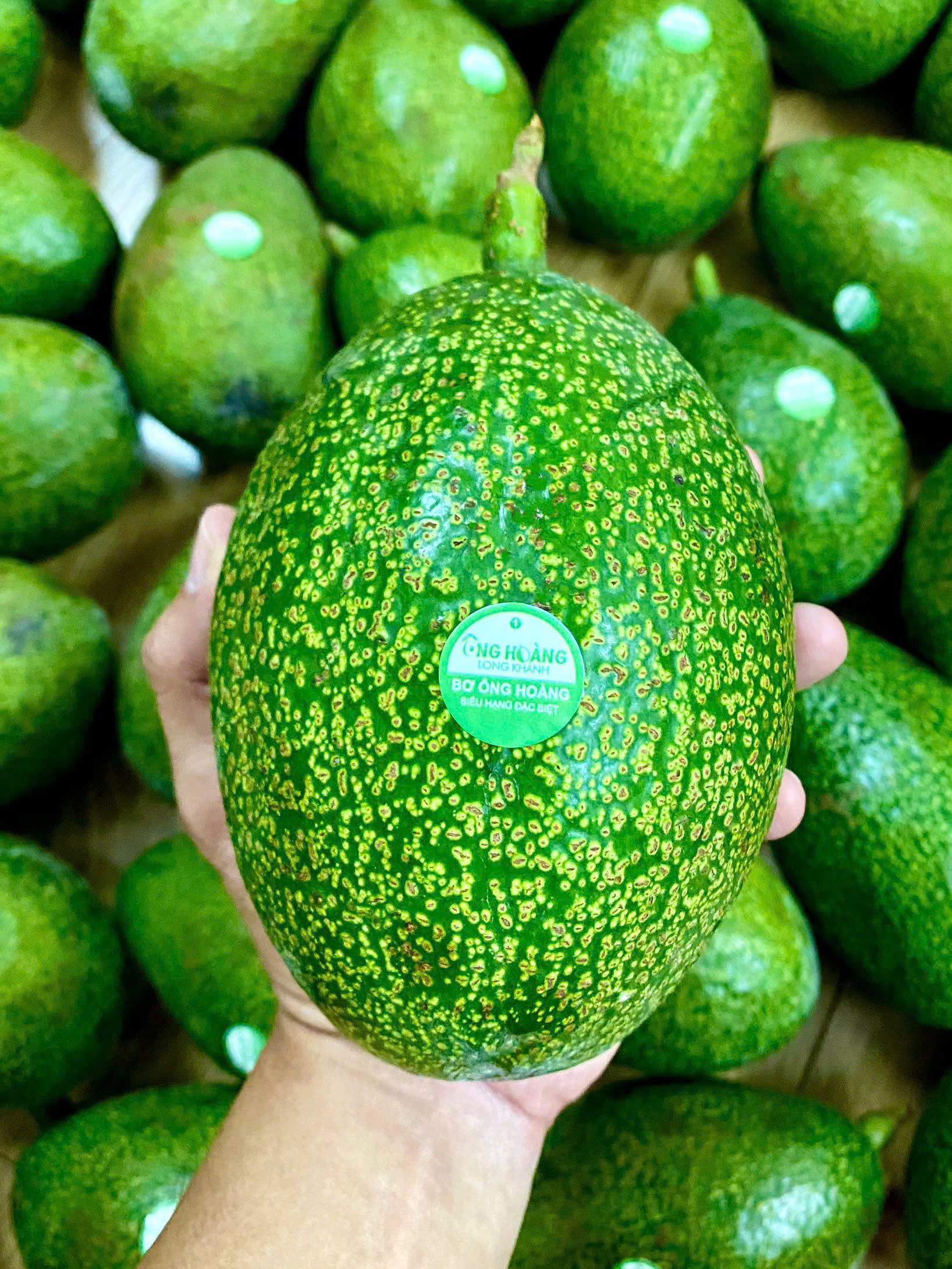 BƠ ÔNG HOÀNG - BƠ SÁP CỔ KIM CƯƠNG - ảnh 5