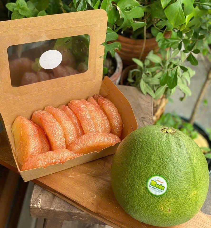 BƯỞI DA XANH 5 HẠNG HỮU CƠ - ảnh 5