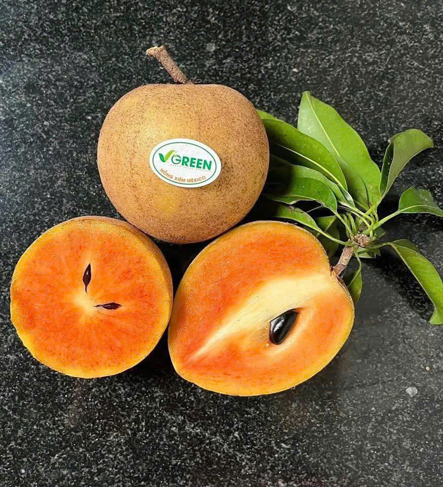 HỒNG XIÊM MEXICO VIP - ảnh 3