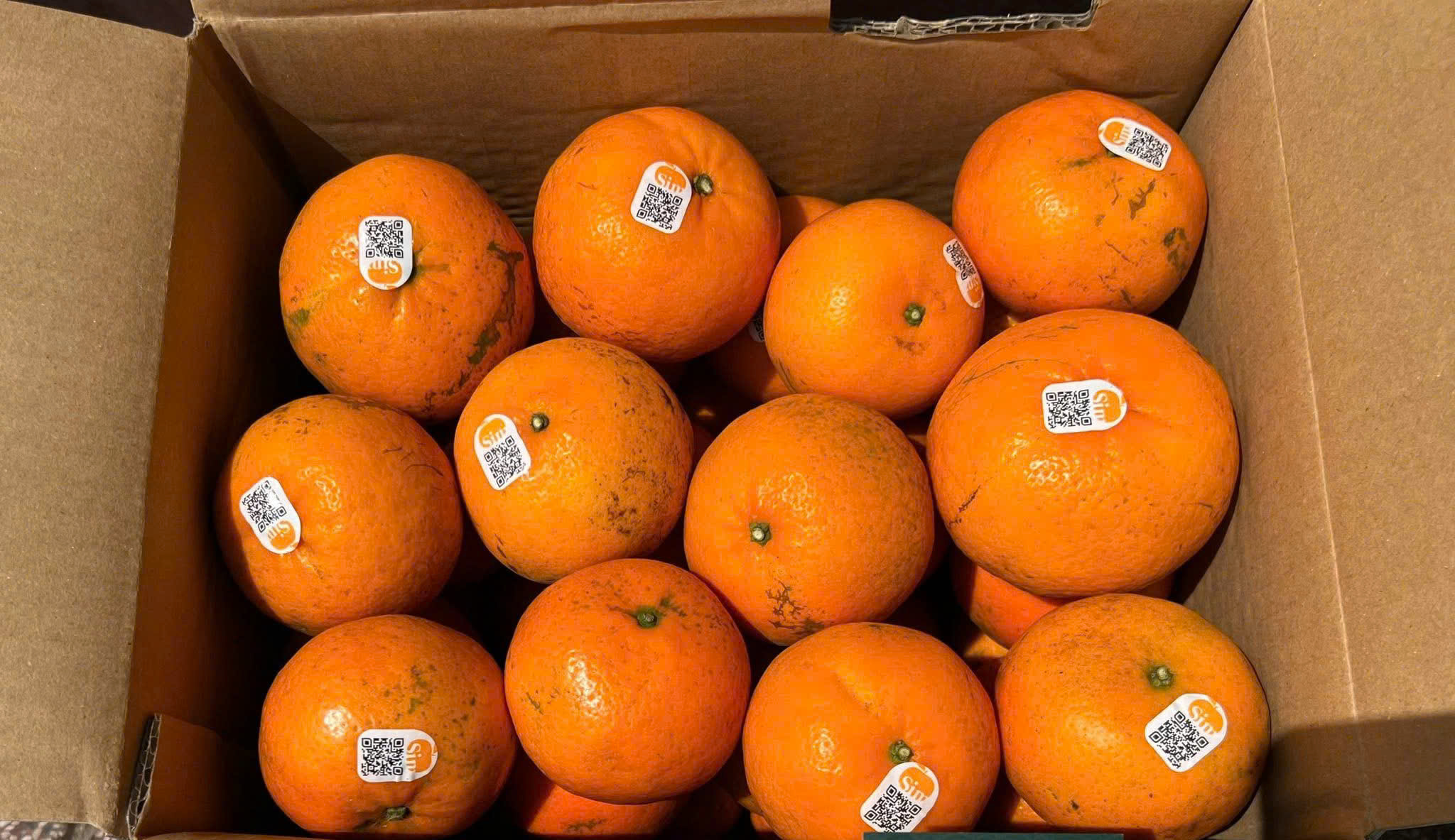 QUÝT SIM CHÍNH HIỆU - ảnh 3