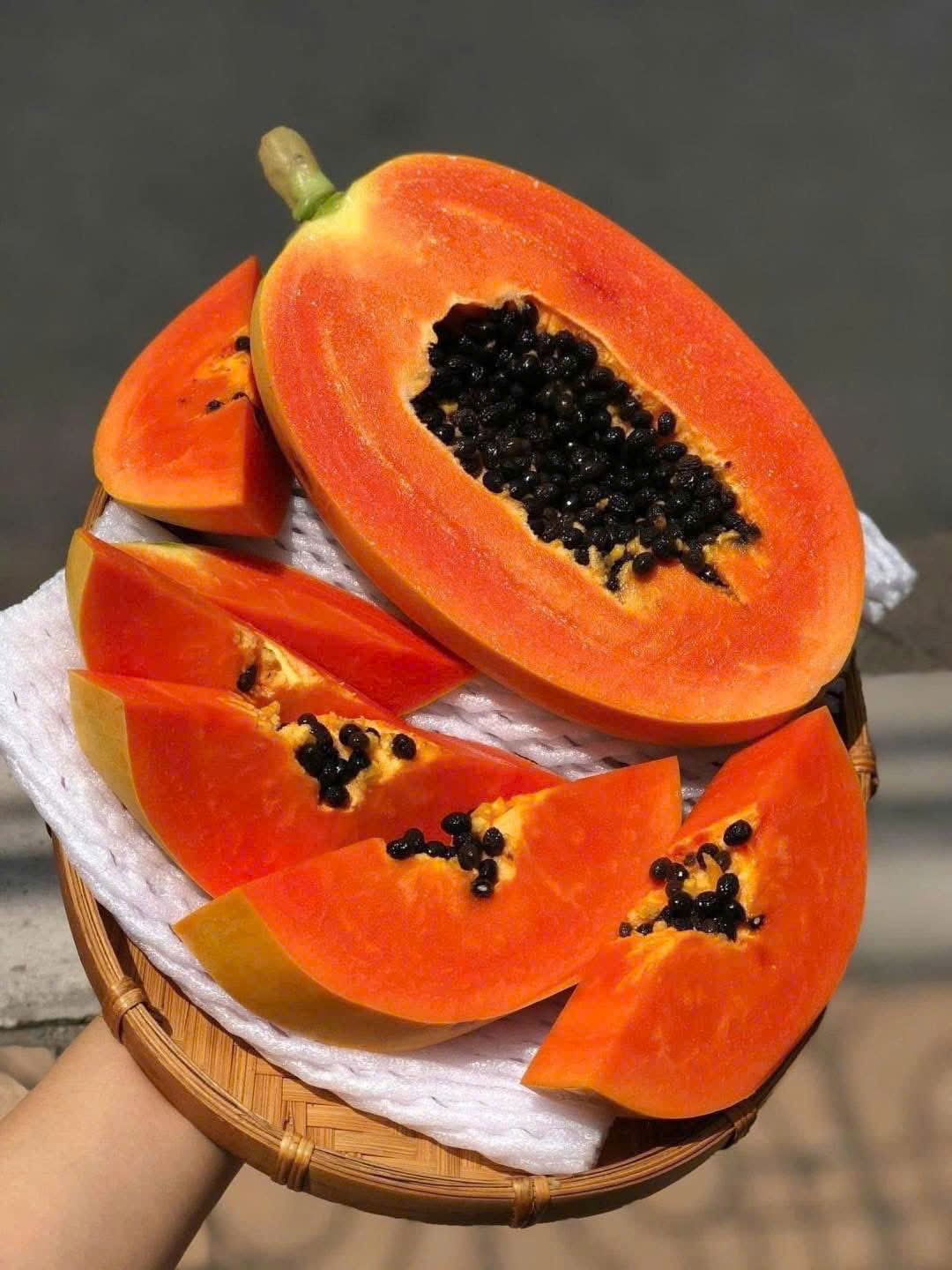 ĐU ĐỦ RUỘT ĐỎ GIỐNG NHẬT - ảnh 2