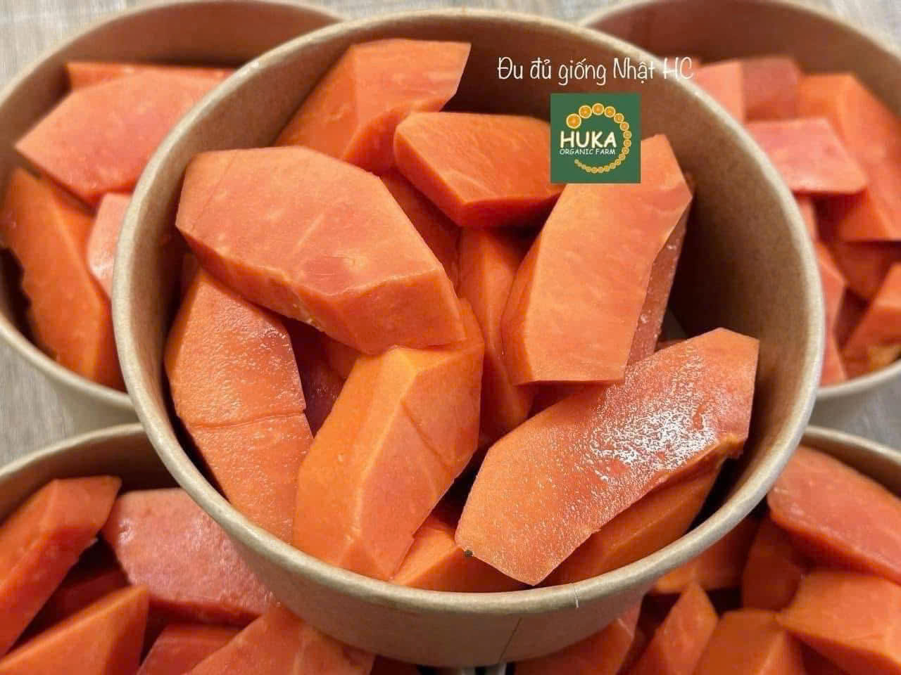 ĐU ĐỦ RUỘT ĐỎ GIỐNG NHẬT - ảnh 3