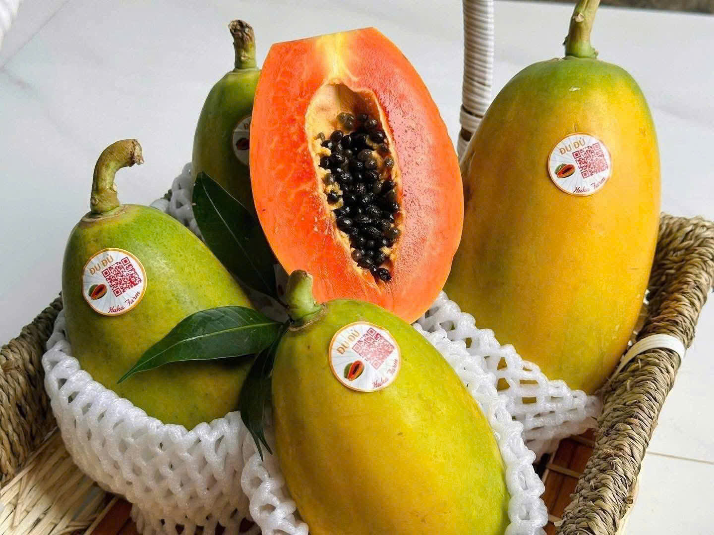 ĐU ĐỦ RUỘT ĐỎ GIỐNG NHẬT - ảnh 4