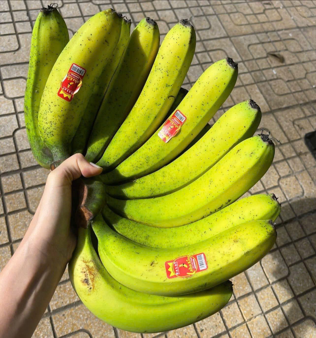 CHUỐI LABAKING ĐÀ LẠT - ảnh 2