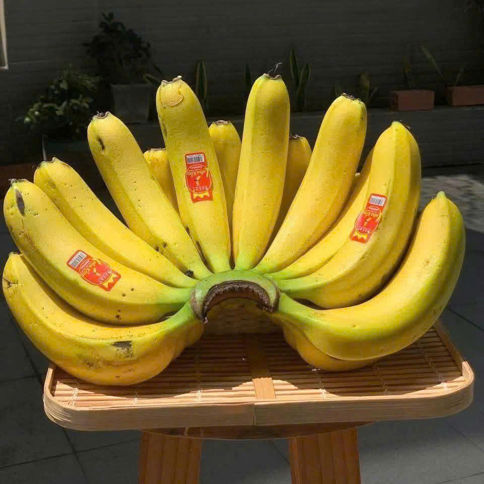 CHUỐI LABAKING ĐÀ LẠT - ảnh 4