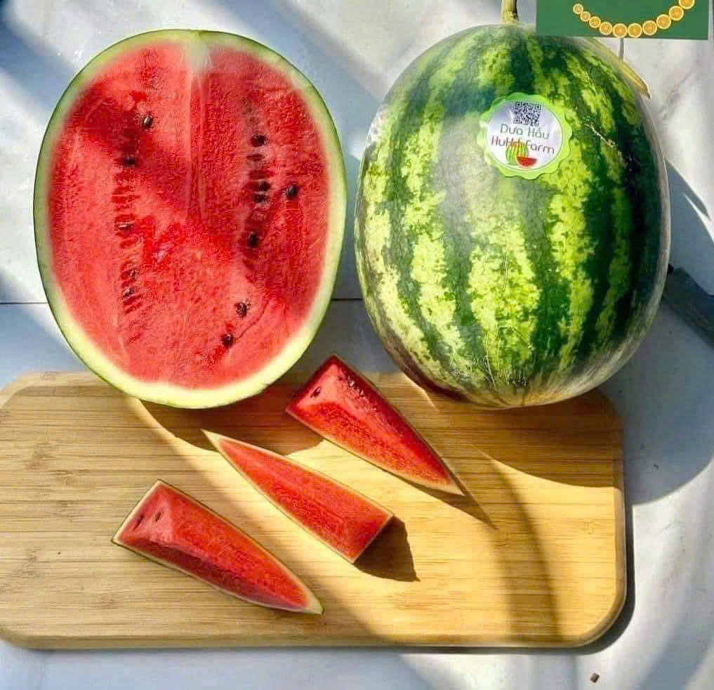 DƯA HẤU SỌC MỸ CÓ HẠT - ảnh 2