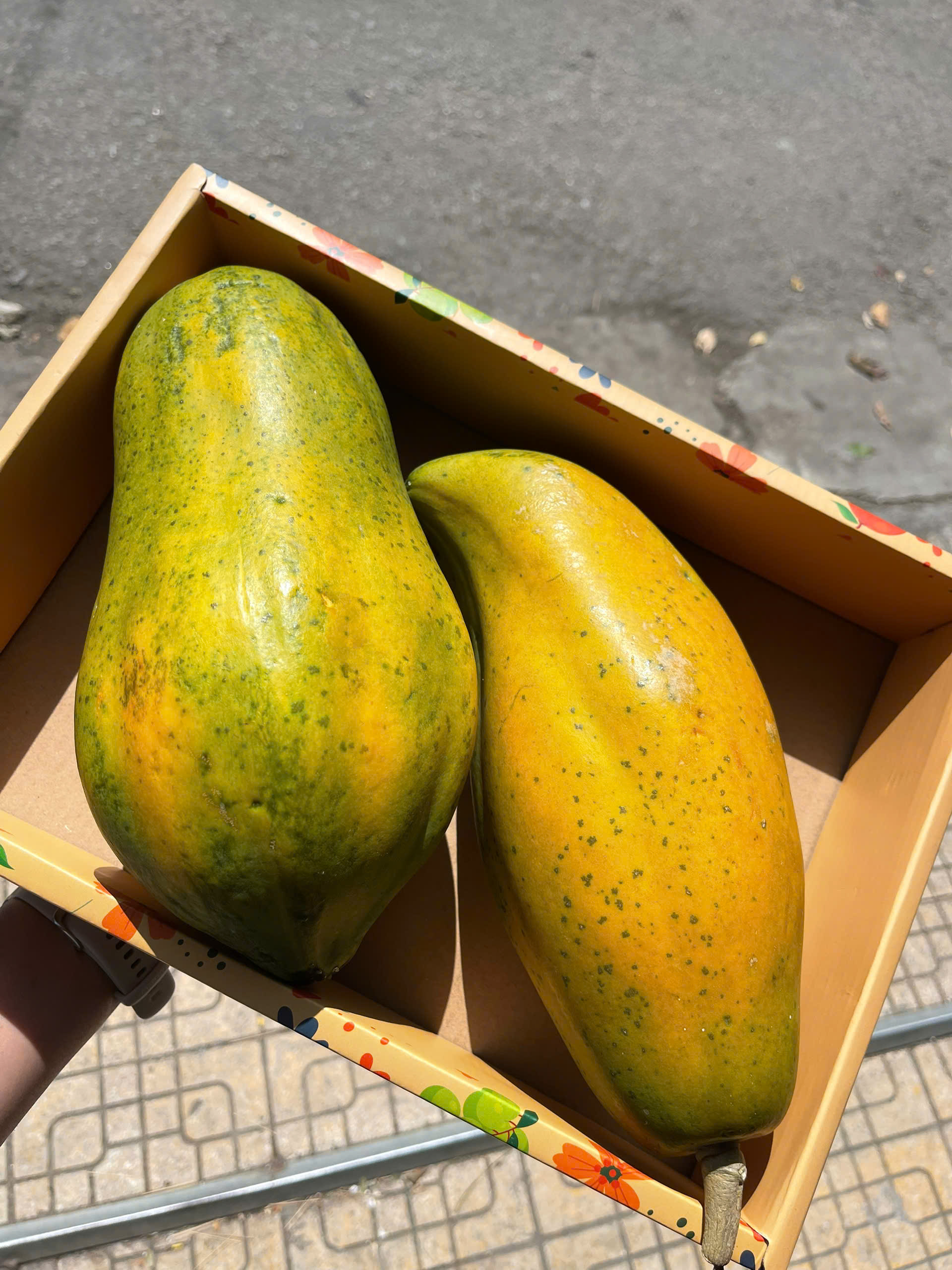 ĐU ĐỦ RUỘT VÀNG - ảnh 3