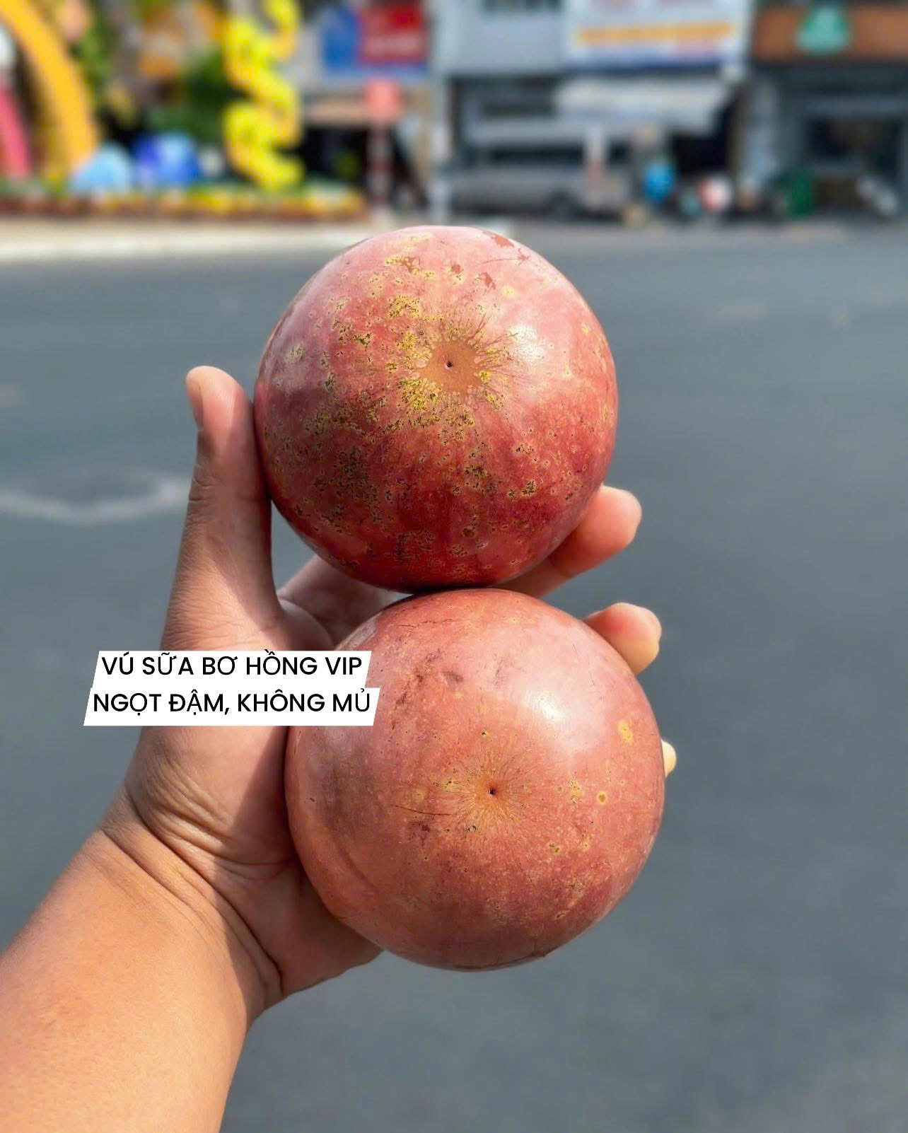 VÚ SỮA BƠ HỒNG VIP - ảnh 2