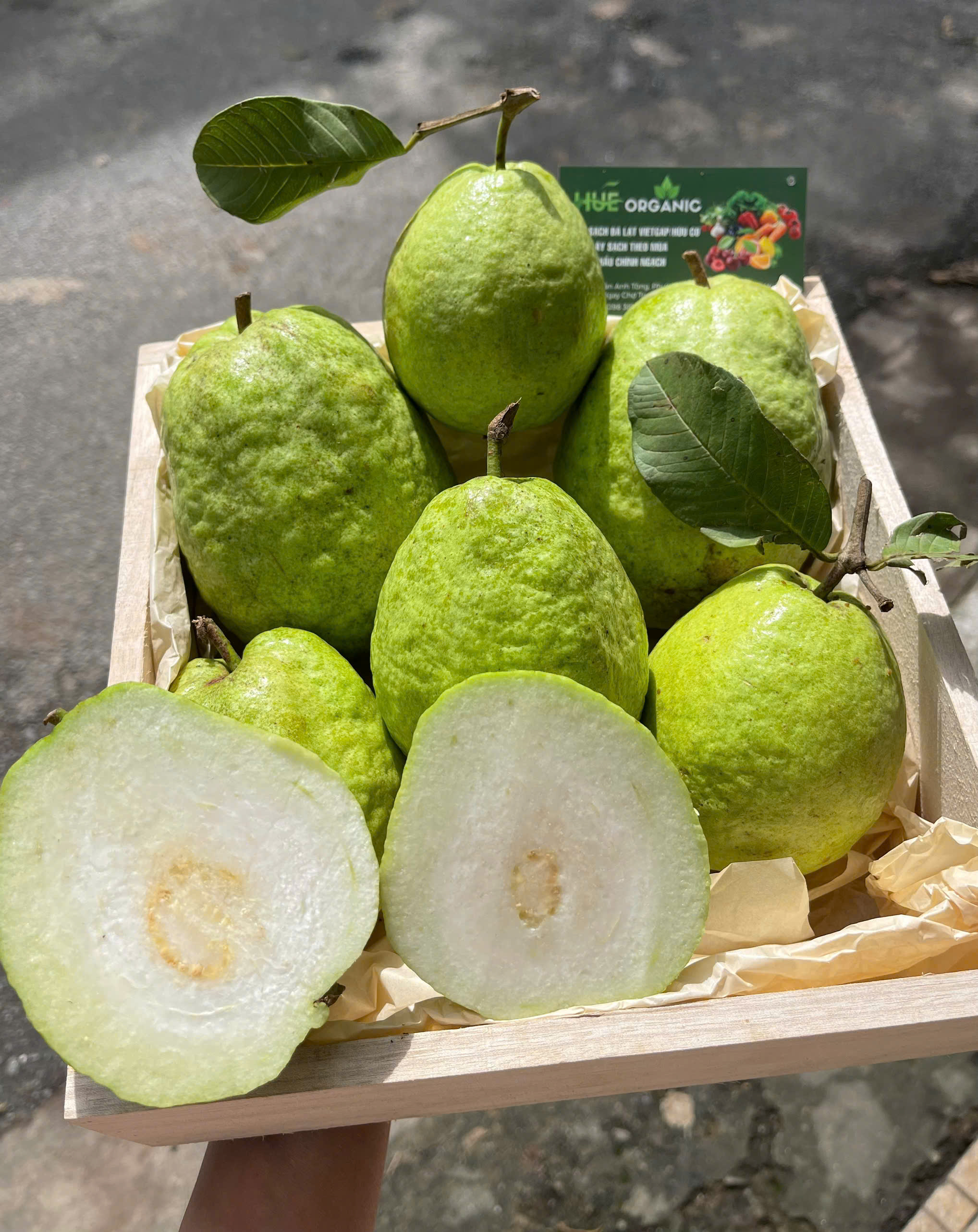 ỔI ĐỒI LỤC NGẠN - ảnh 2