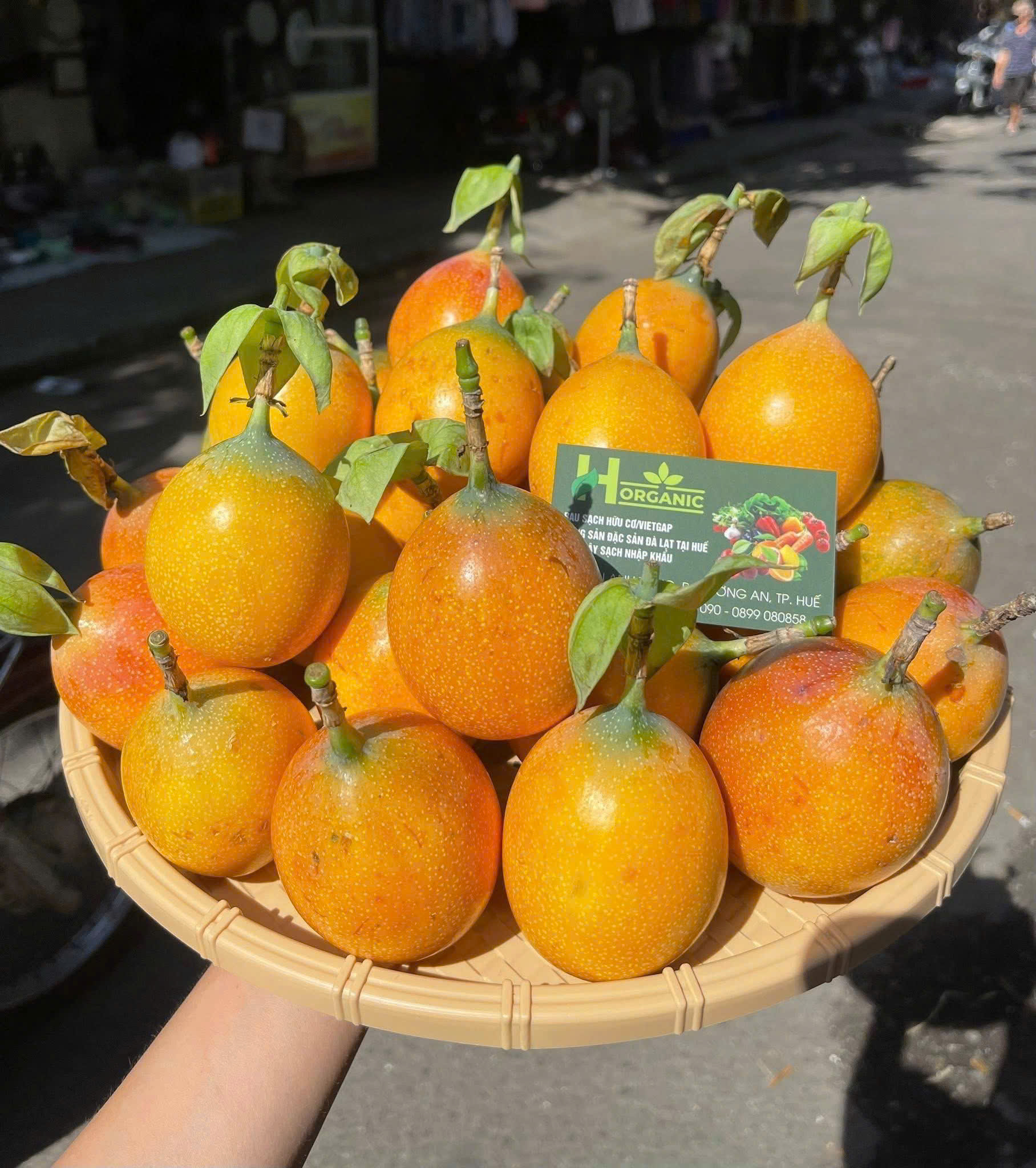 CHANH DÂY MẬT ONG COLOMBIA