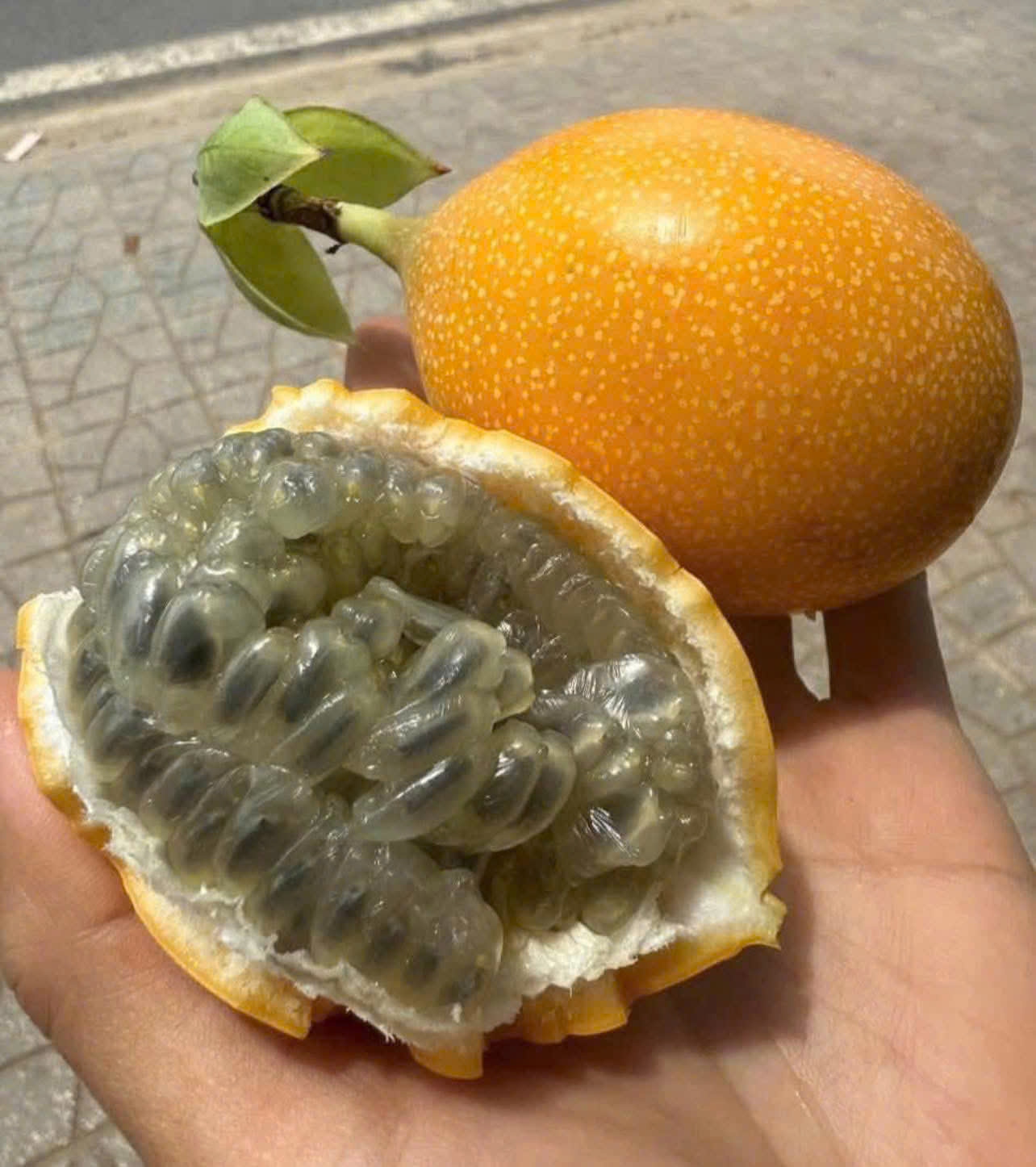 CHANH DÂY MẬT ONG COLOMBIA - ảnh 4