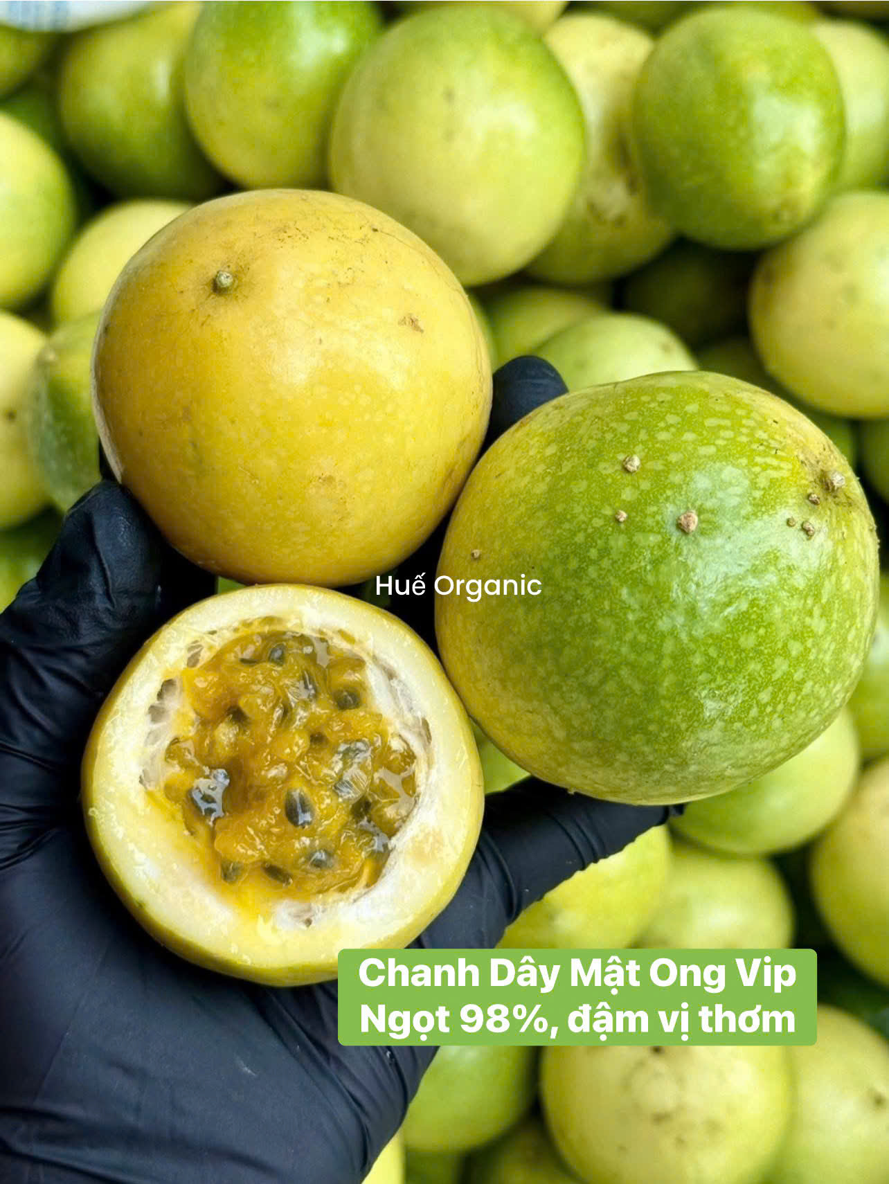 CHANH DÂY MẬT ONG ĐÀ LẠT - ảnh 2