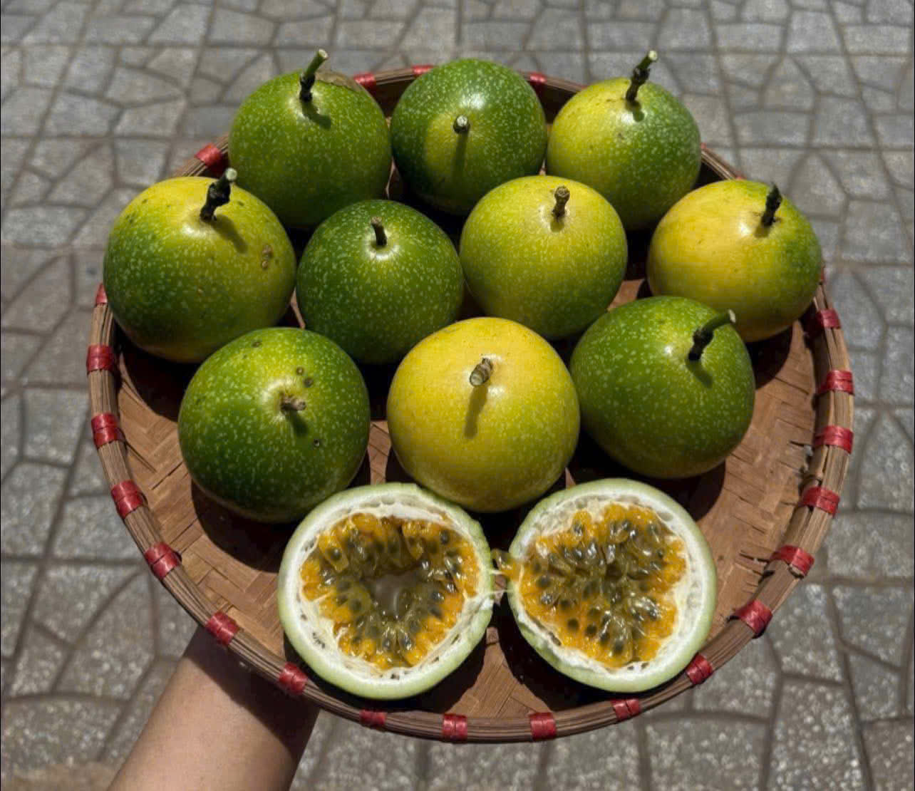 CHANH DÂY MẬT ONG ĐÀ LẠT - ảnh 3