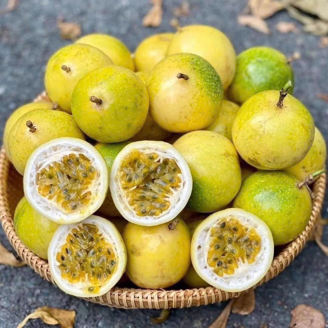 CHANH DÂY MẬT ONG ĐÀ LẠT - ảnh 4