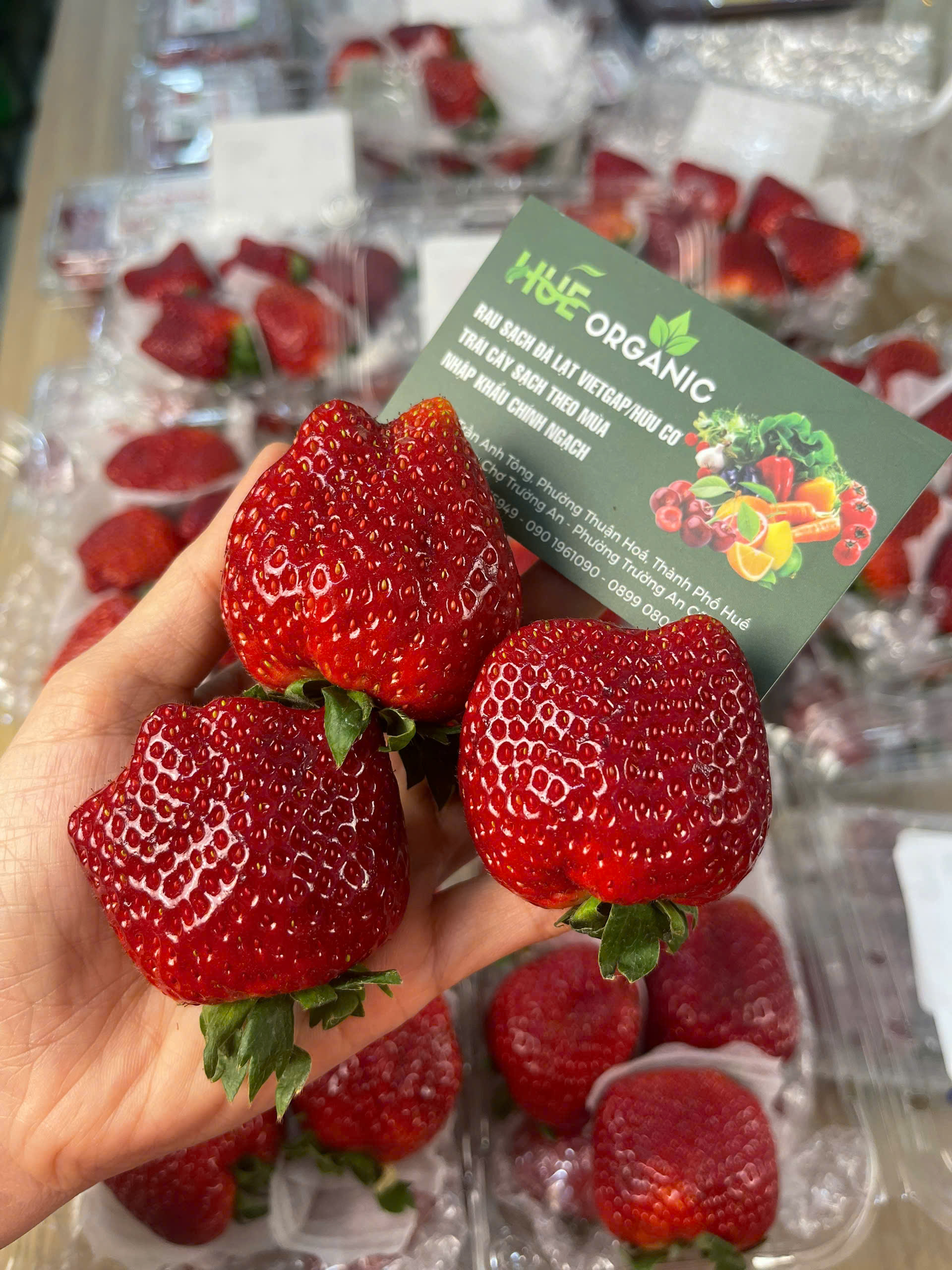 DÂU TÂY MỘC CHÂU - ảnh 3