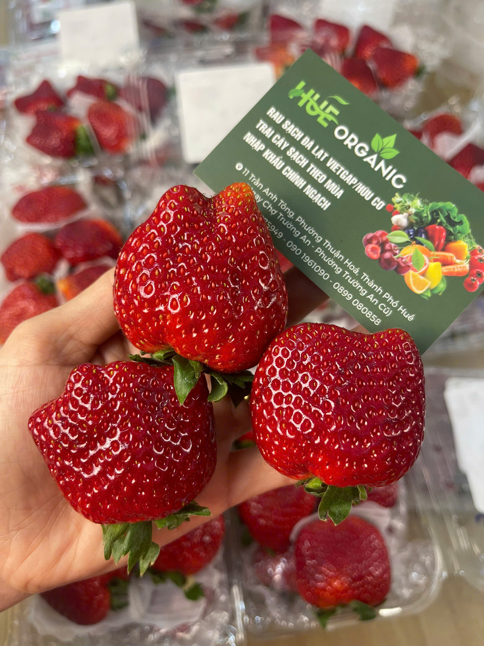 DÂU TÂY MỘC CHÂU - ảnh 4